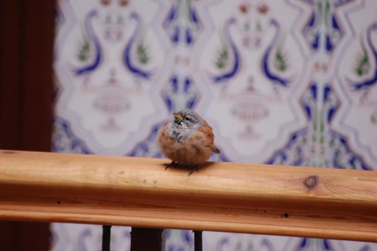 Bed & Breakfast Dar Margot Marrakech Bed and Breakfast Marrakesh